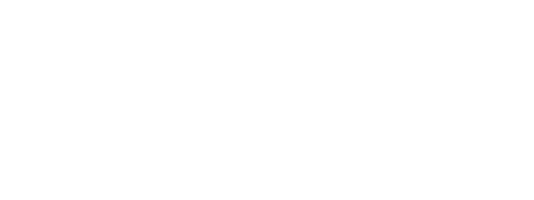 Puls, logo cu denumire, Alb